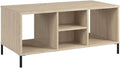 Bush Furniture Essence Coffee Table with Shelf | Shelves, Storage, Multifunctional Organization for Living Room, Bedroom, or Entryway