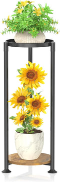 KMOTASUO 2 Tier Black Plant Stand Indoor for Large Tall Heavy Duty Planter, Multiple Sturdy Metal Flower Corner Rack for Narrow House Floor, Iron Vertical Level Round Orchi Holder Organizer, Modern