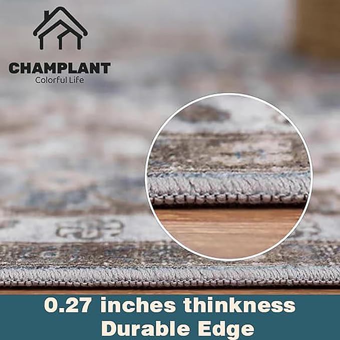 Washable Area Rug 8'x10' Retro Boho Design Non-Shedding Non-Slip Easy Care Ideal for High Traffic Areas in Living Room Bedroom Office Coffee Table Kitchen Large Carpet