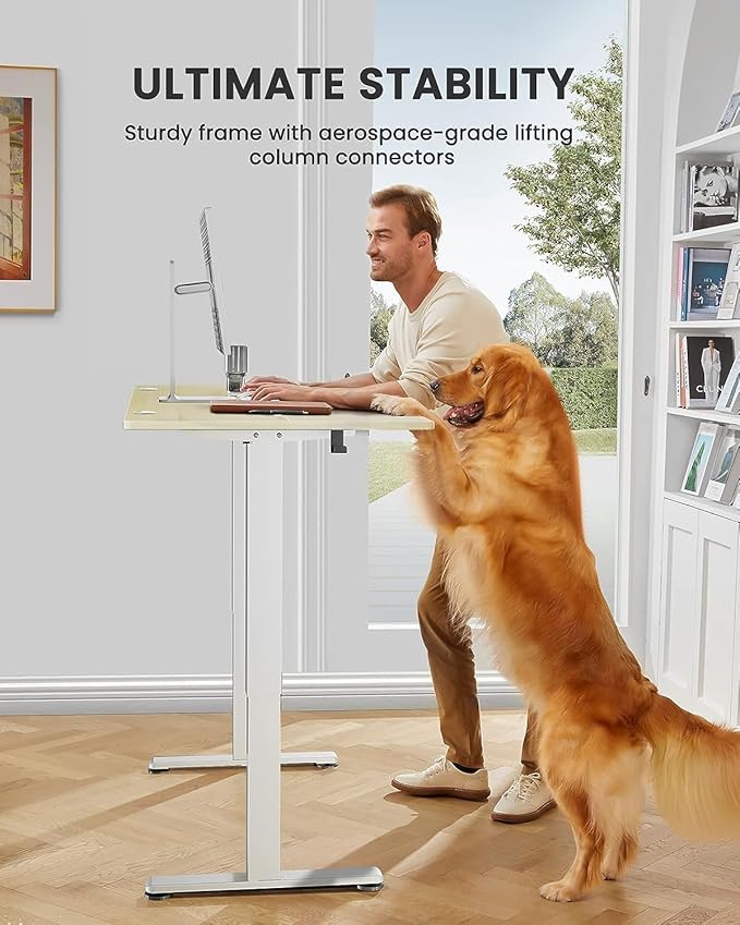 ErGear Height Adjustable Electric Standing Desk, 48 x 24 Inches Sit Stand up Desk, Memory Computer Home Office Desk with Two-Piece Desktop (Natural)