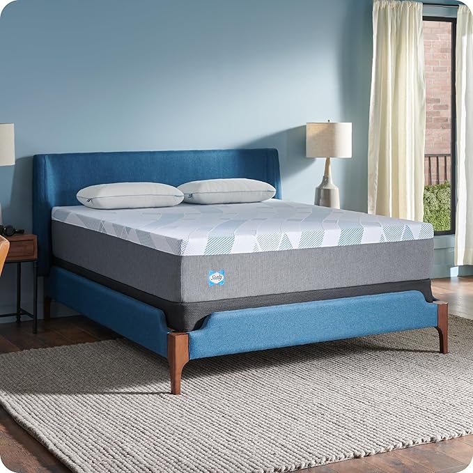 Sealy Dreamlife 12" Foam Mattress-in-a-Box, Twin XL, SealyComfort Gel Memory Foam, SealySupport Transition Foam, Surface-Guard Technology