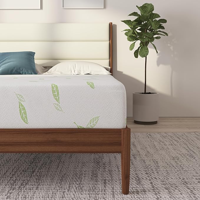 NapQueen Twin Size, 10 Inch Anula Green Tea Infused Memory Foam Mattress, Bed in a Box, CertiPUR-US Certified Mattress