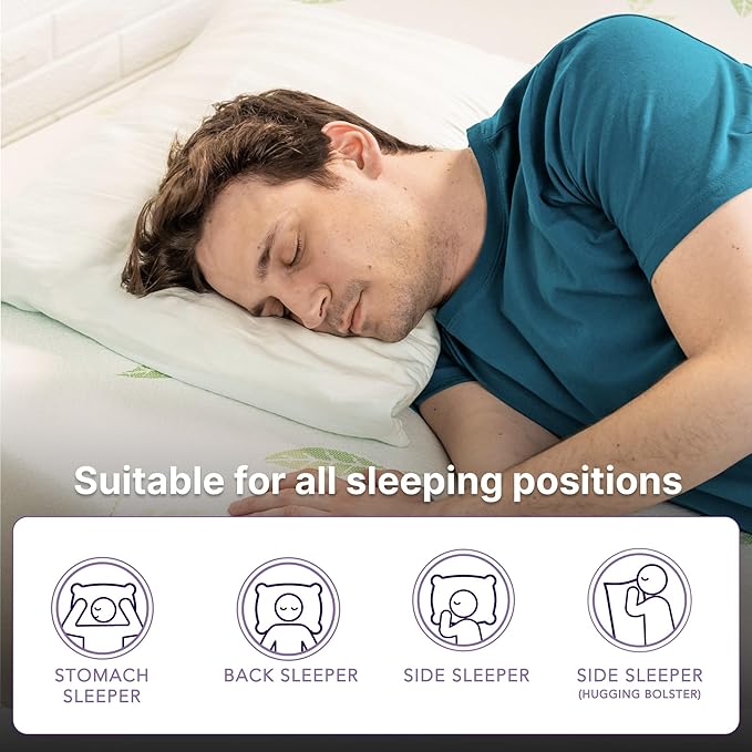 NapQueen Queen Size, 8 Inch Anula Green Tea Infused Memory Foam Mattress, Bed in a Box, CertiPUR-US Certified Mattress