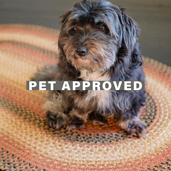 Russet Multicolor Jute Braided Area Rug, 6x9' Rectangle - Warm Country Decor, Perfect for Living Rooms and Dining Rooms - Pet Friendly and Easy to Clean