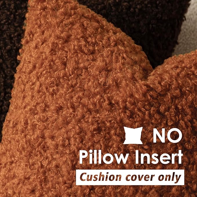 Foindtower 2 Pieces 18x18 Inch Burnt Orange, Faux Fur Throw Pillow Cover Accent Sherpa Furry Pillow Cover Fuzzy Soft Pillowcases Cozy Sheepskin Decorative Fleece Cushion Case for Bed Couch Living Room