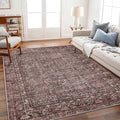 Area Rug 5'x7' Washable Rug Traditional Floor Cover Thin Retro Kitchen Indoor Distressed Non Slip Carpet for Living Room Bedroom Dining Room
